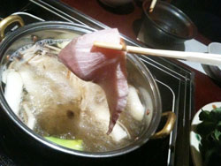 鰤シャブ